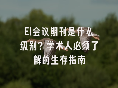 EI会议期刊是什么级别？学术人必须了解的生存指南