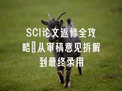 SCI论文返修全攻略：从审稿意见拆解到最终录用