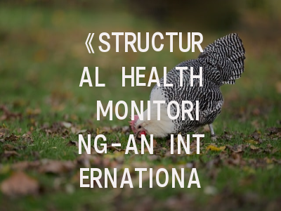 《STRUCTURAL HEALTH MONITORING-AN INTERNATIONAL JOURNAL》深度解析与投稿全攻略