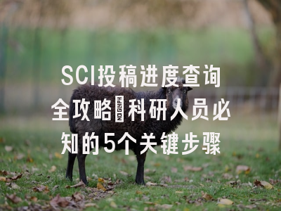 SCI投稿进度查询全攻略：科研人员必知的5个关键步骤