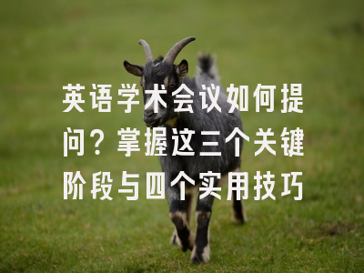 英语学术会议如何提问？掌握这三个关键阶段与四个实用技巧