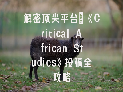 解密顶尖平台:《Critical African Studies》投稿全攻略