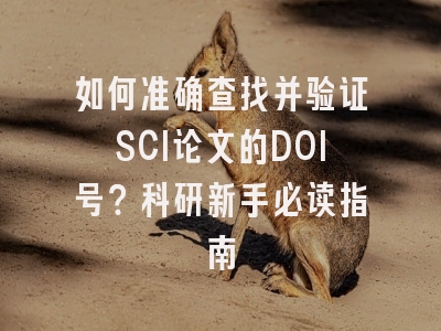 如何准确查找并验证SCI论文的DOI号？科研新手必读指南