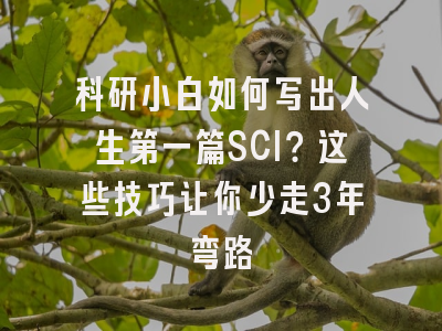 科研小白如何写出人生第一篇SCI？这些技巧让你少走3年弯路