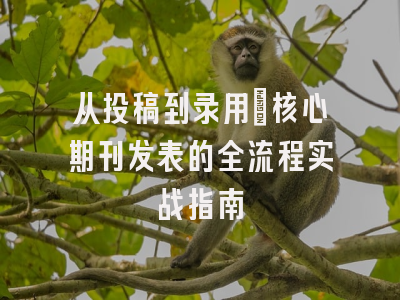 从投稿到录用：核心期刊发表的全流程实战指南