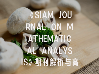 《SIAM JOURNAL ON MATHEMATICAL ANALYSIS》期刊解析与高效投稿指南