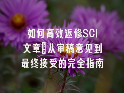 如何高效返修SCI文章：从审稿意见到最终接受的完全指南