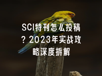 SCI特刊怎么投稿？2023年实战攻略深度拆解