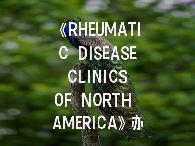 《RHEUMATIC DISEASE CLINICS OF NORTH AMERICA》办刊特色与科研人员投稿全攻略