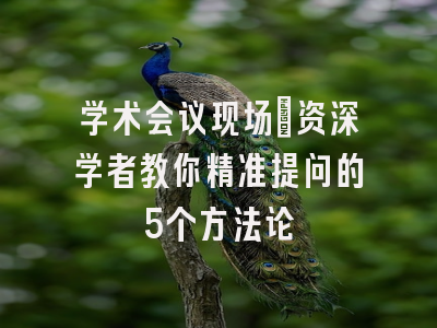 学术会议现场：资深学者教你精准提问的5个方法论