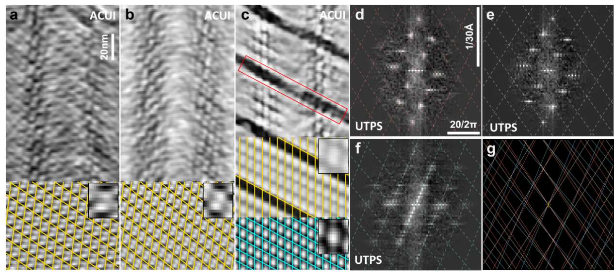 清华大学生命学院李雪明课题组和电子系沈渊课题组合作开发基于柱面展开的螺旋参数测定方法