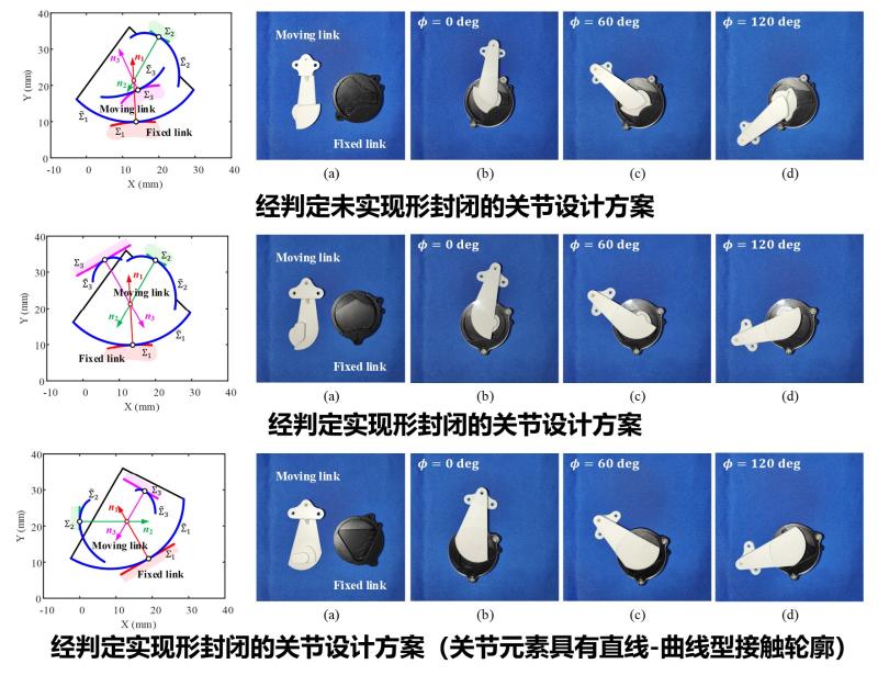 上海交大郭为忠教授团队在仿生关节设计领域取得新进展