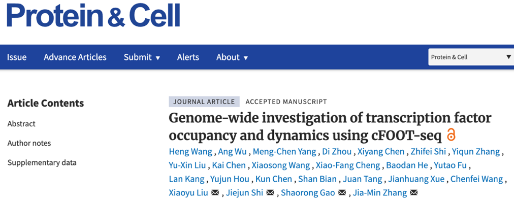 生命科学与技术学院张家民、高绍荣、史偈君、刘晓雨团队合作开发cFOOT-seq：单分子、单细胞分辨率的转录因子占位检测新平台，成果发表于《蛋白与细胞》