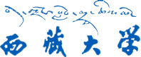 第十一届能源材料与电力工程学术会议（ICEMEE 2025)