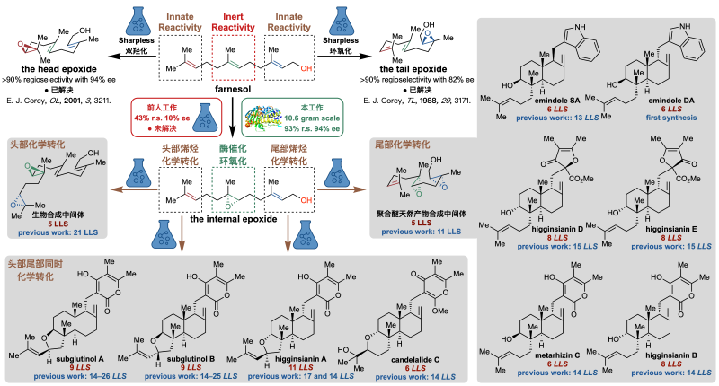 上海交大李健团队及合作者在Science发表化学生物融合合成领域突破性研究成果
