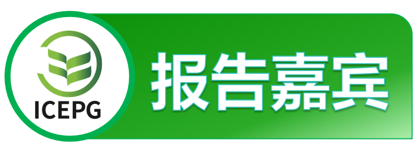 第七届IEEE能源、电力与电网国际学术会议（IEEE-ICEPG 2025）