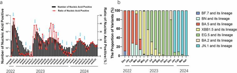 电子科技大学医学院杨正林院士团队在Signal Transduction and Targeted Therapy上发表研究成果