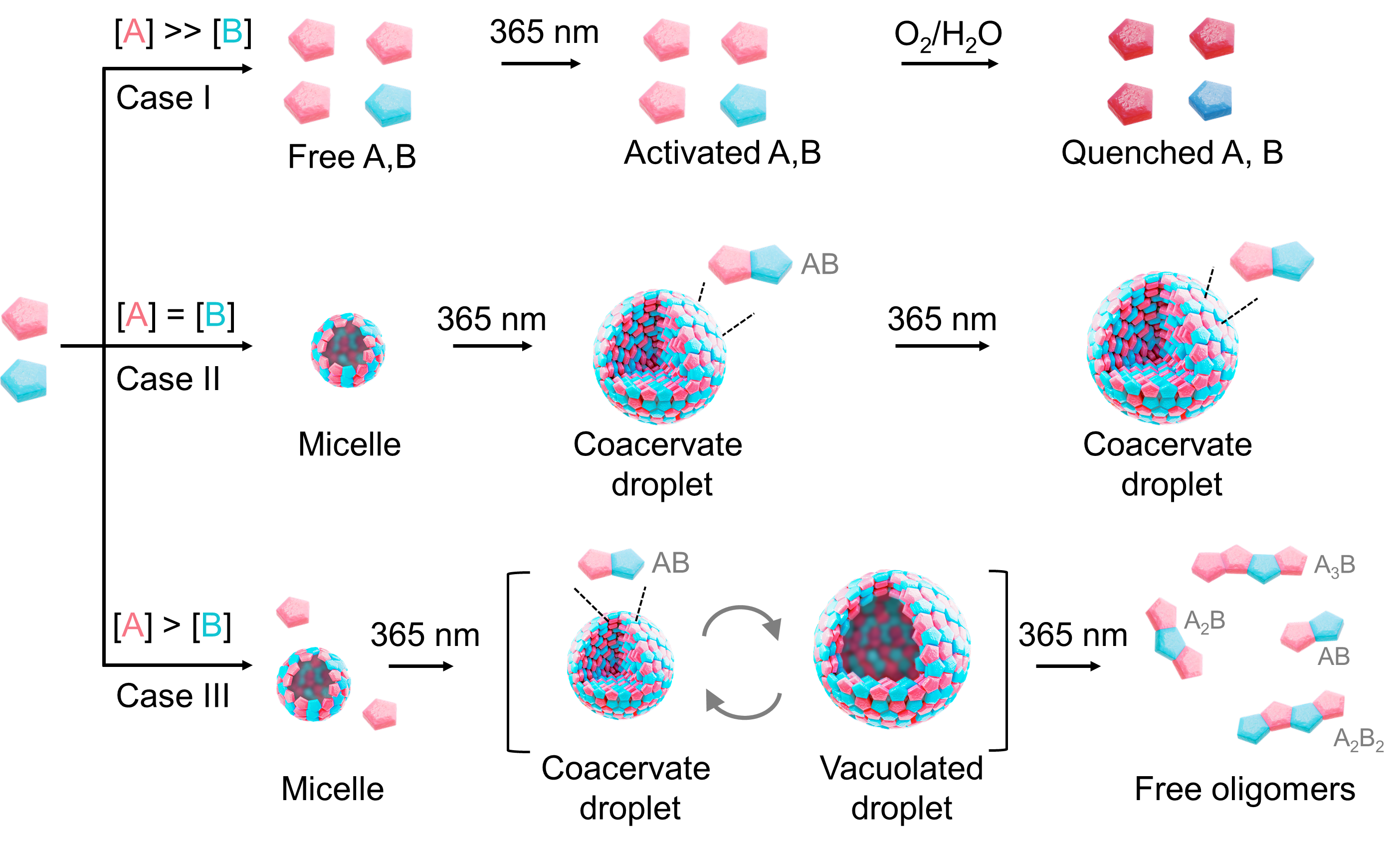 北京化工大学林艺扬课题组在Nature Synthesis期刊发表研究工作