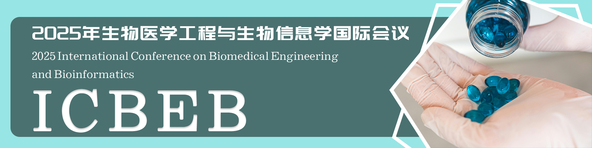 2025年生物医学工程与生物信息学国际会议（ICBEB 2025）