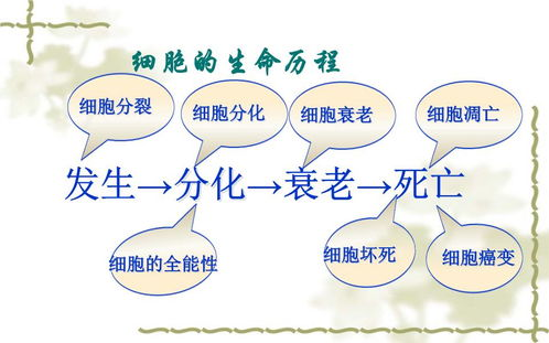 SCI可以发表什么内容？顶级学术期刊的收录奥秘都在这！