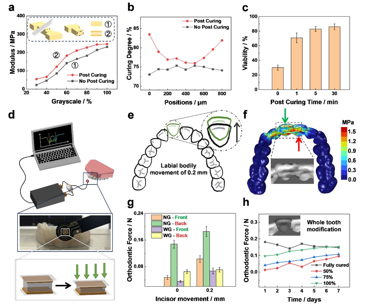 北京航空航天大学《Additive Manufacturing》发表北航研究成果：多波长3D打印力学特性可调、生物相容性好的医疗器械