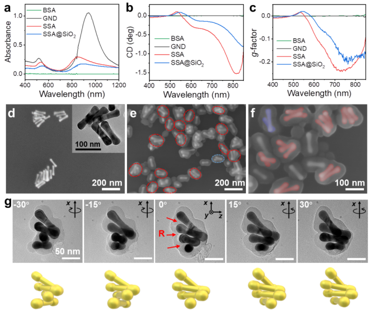 北京大学化学与分子工程学院齐利民课题组报道金纳米哑铃手性自组装实现强手性光学活性