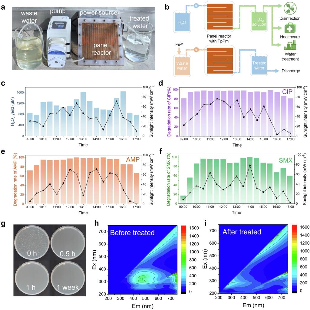 环境科学与工程学院毛舜团队研究氮杂环共价有机框架助力高效光合成过氧化氢与原位水处理，成果发表于《自然·通讯》