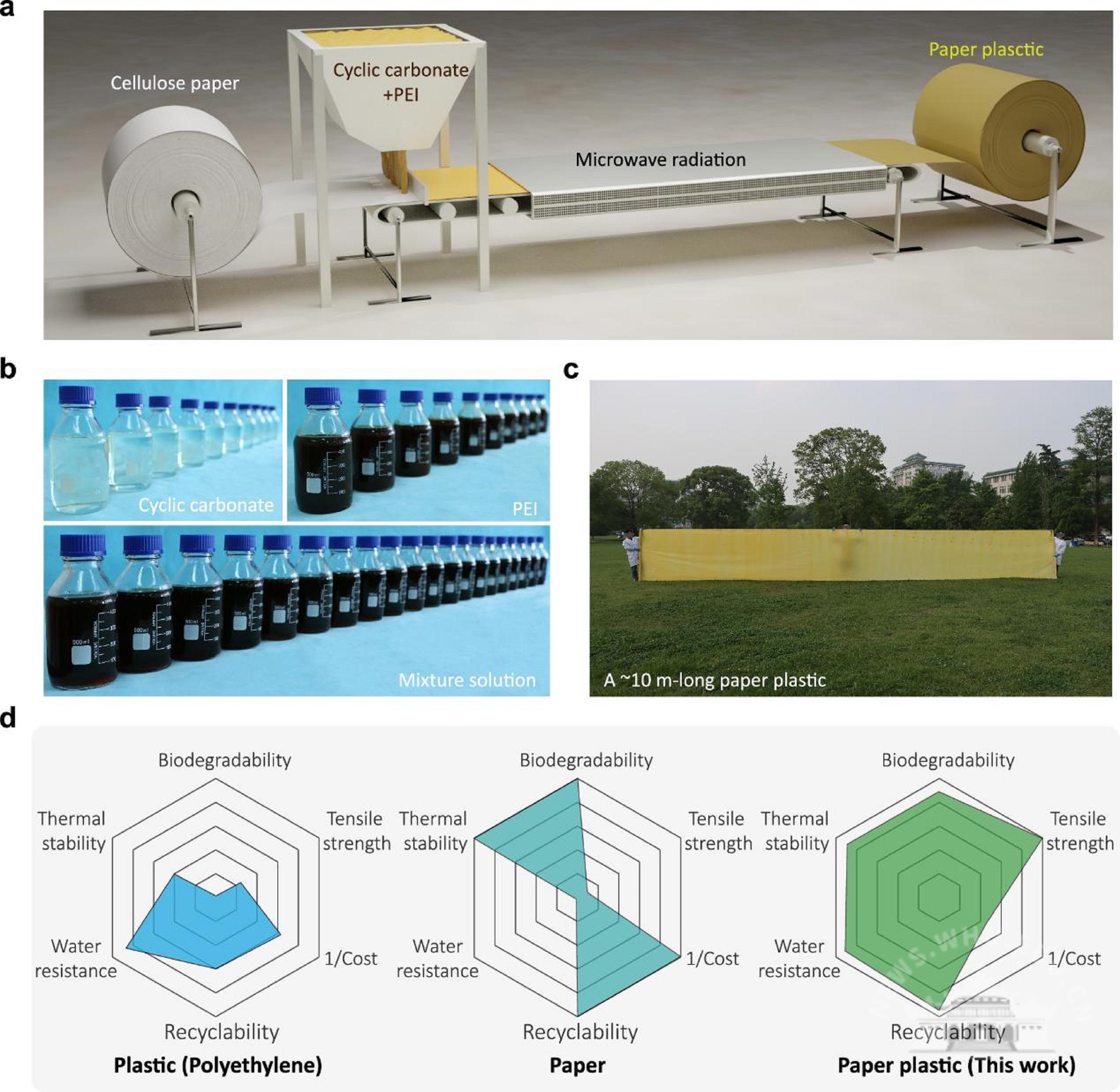 武汉大学陈朝吉课题组在生物质基功能材料领域取得系列研究成果