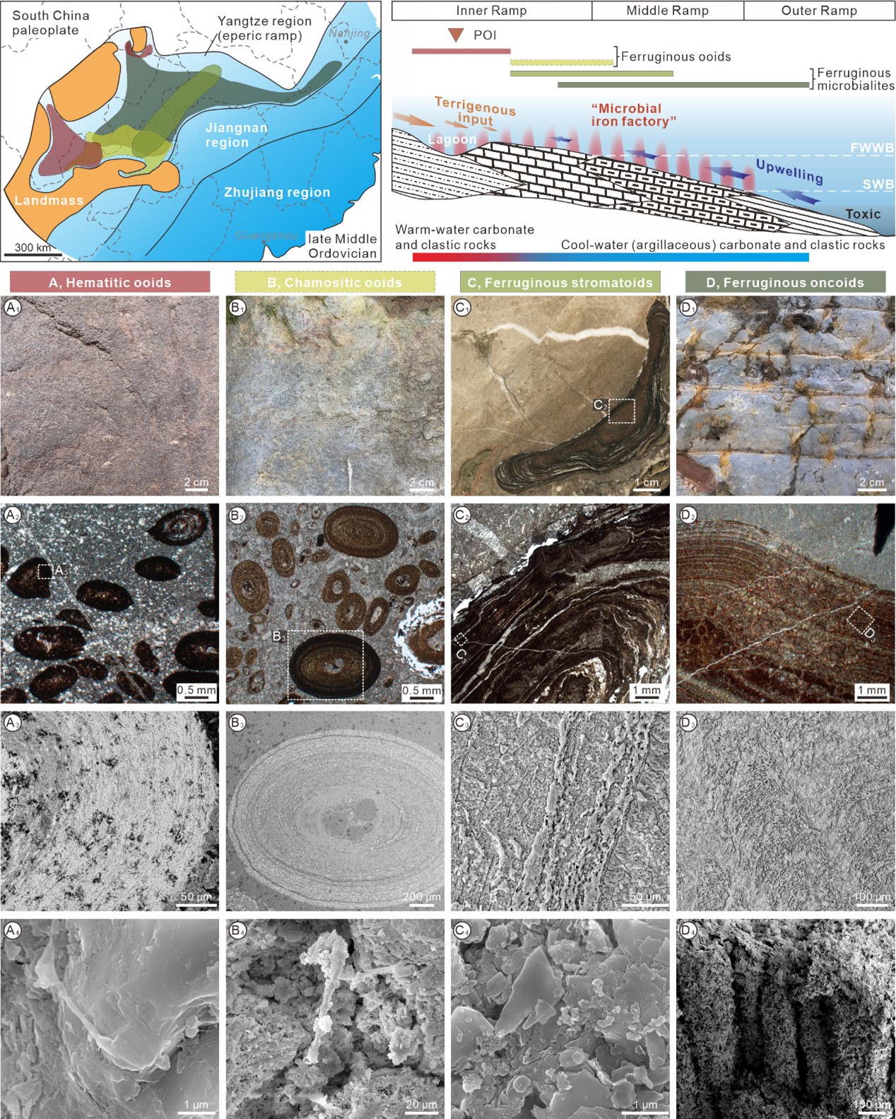 华南奥陶纪铁质沉积标识古气候重要转折