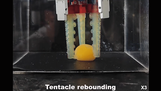 研究构建仿章鱼的自适应水凝胶吸盘