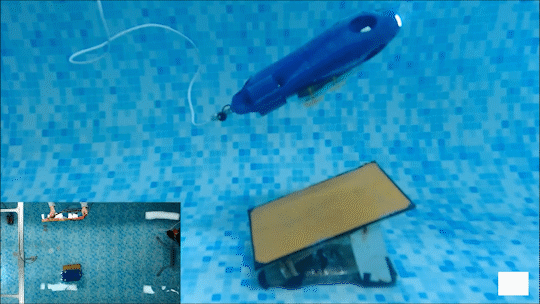 研究构建仿章鱼的自适应水凝胶吸盘