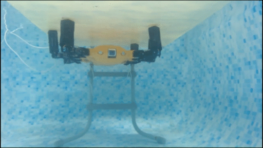 研究构建仿章鱼的自适应水凝胶吸盘