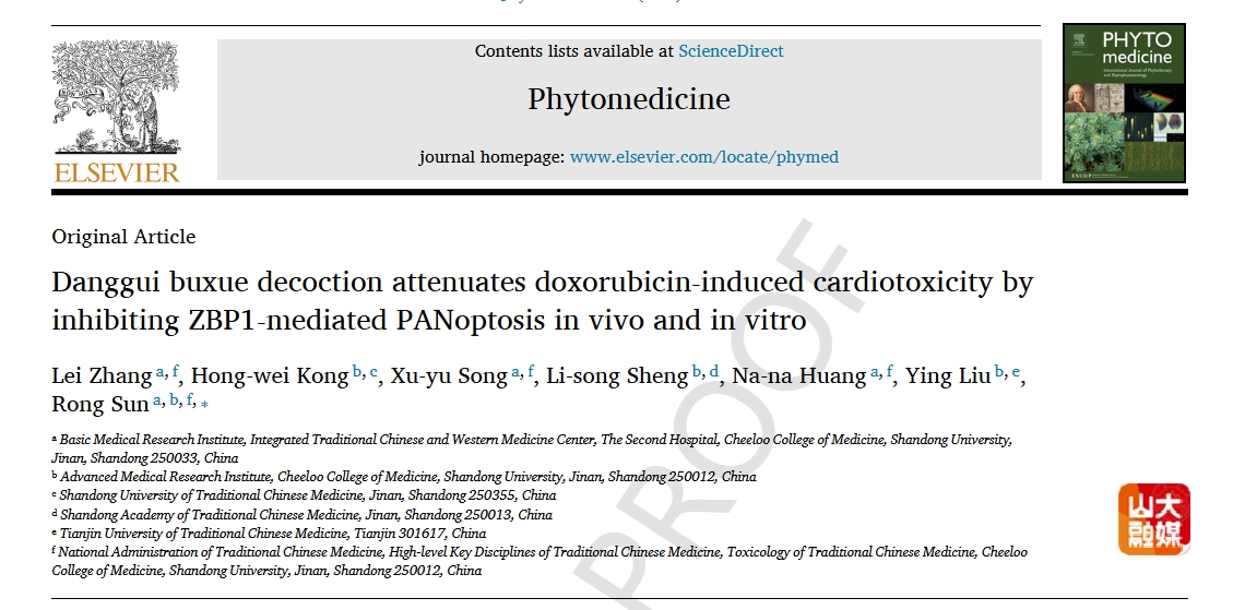 山东大学孙蓉教授课题组在Phytomedicine上发表当归补血汤改善化疗致心脏毒性研究型论文