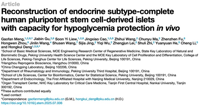 北京大学生命科学学院邓宏魁团队在糖尿病治疗领域实现利用人多能干细胞制备内分泌细胞类型完备且具有低血糖防护功能的胰岛