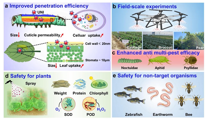 水基化单分子纳米农药实现有害生物绿色防控