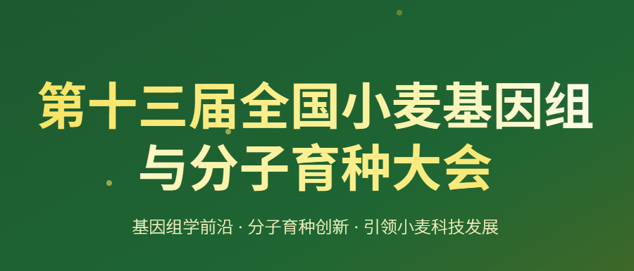 第十三届全国小麦基因组与分子育种大会