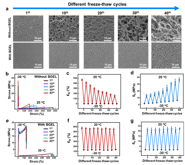 北京理工大学团队在纯水系抗冻水凝胶材料助力机器人低温触觉识别领域取得进展