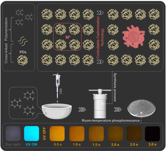 东南大学徐淑宏/王春雷课题组在《SCIENCE CHINA Chemistry》发表最新研究成果