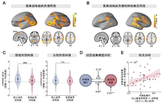 北京大学心理与认知科学学院韩世辉课题组揭示改变观察者种族身份认同降低共情和利他行为的种族偏好及神经机制