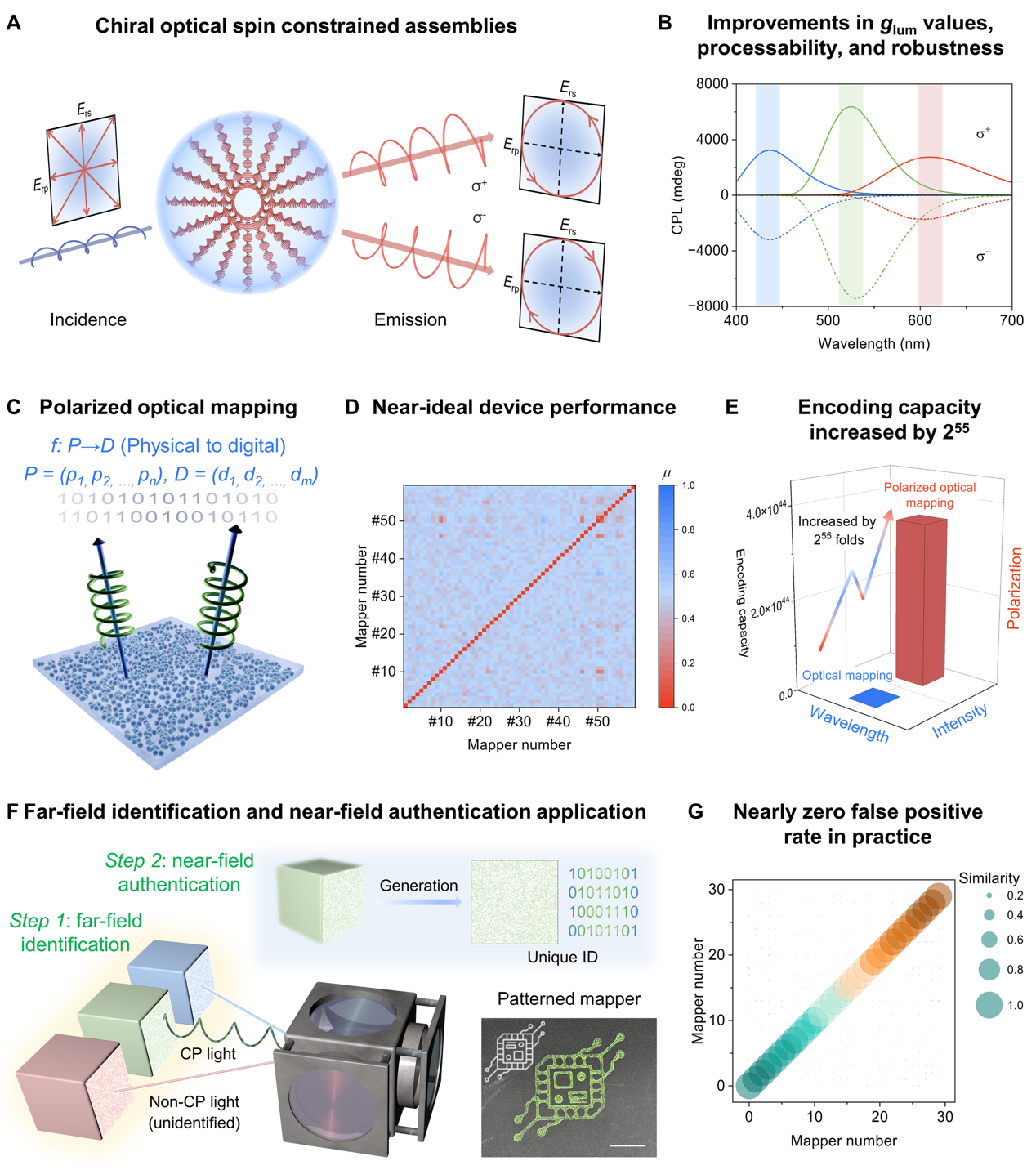 中国科大构建圆偏振光学映射器件