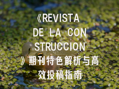 《REVISTA DE LA CONSTRUCCION》期刊特色解析与高效投稿指南