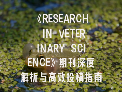 《RESEARCH IN VETERINARY SCIENCE》期刊深度解析与高效投稿指南
