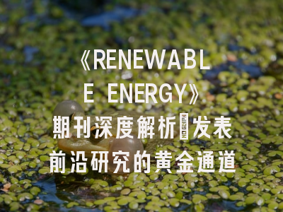 《RENEWABLE ENERGY》期刊深度解析：发表前沿研究的黄金通道