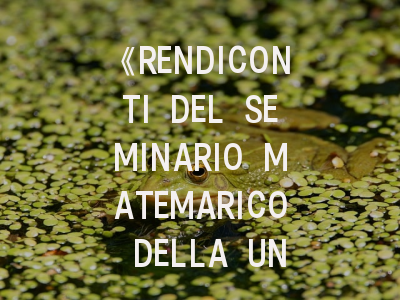 《RENDICONTI DEL SEMINARIO MATEMARICO DELLA UNIVERSITA DI PADOVA》期刊评析与投稿指南