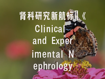 肾科研究新航标：《Clinical and Experimental Nephrology》期刊定位解析与投稿突破秘籍