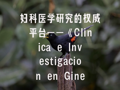 妇科医学研究的权威平台——《Clinica e Investigacion en Ginecologia y Obstetricia》解读与投稿指南