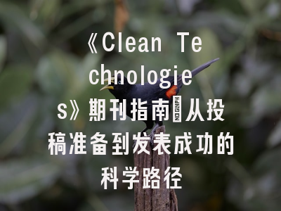 《Clean Technologies》期刊指南_从投稿准备到发表成功的科学路径