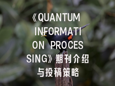 《QUANTUM INFORMATION PROCESSING》期刊介绍与投稿策略