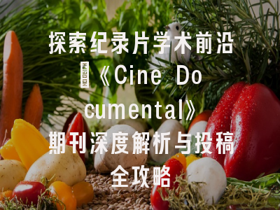 探索纪录片学术前沿_《Cine Documental》期刊深度解析与投稿全攻略