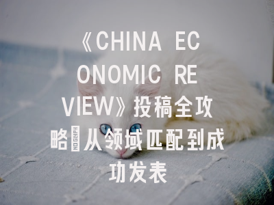 《CHINA ECONOMIC REVIEW》投稿全攻略：从领域匹配到成功发表